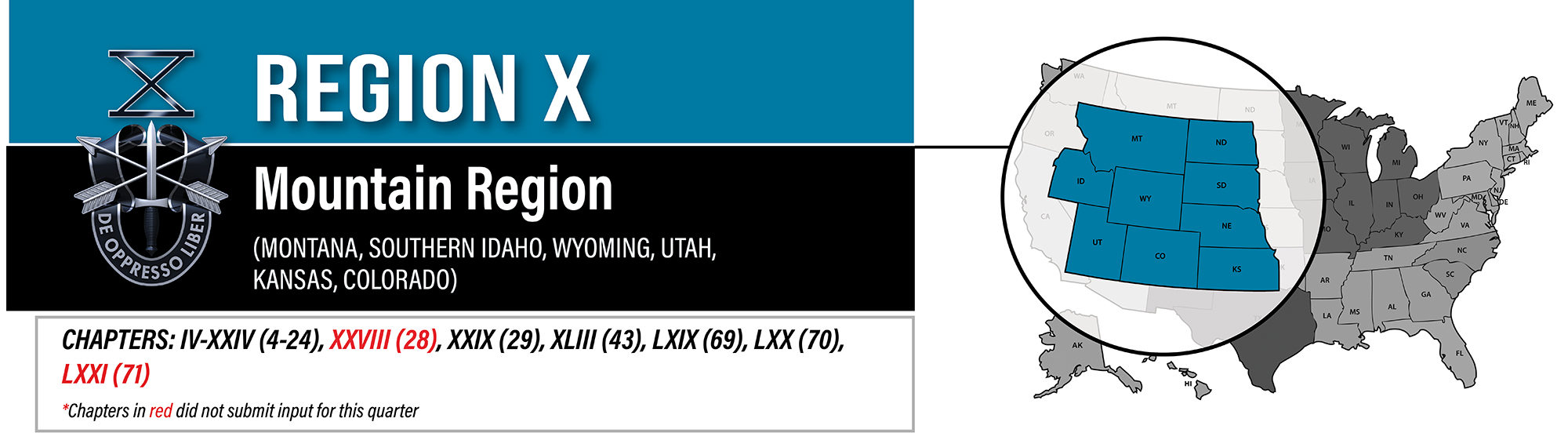 Region X banner