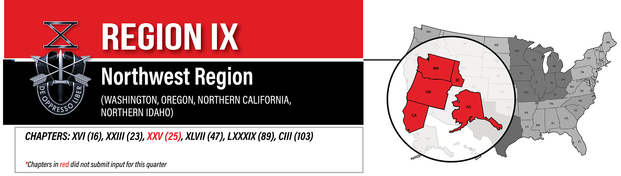 Region IX banner
